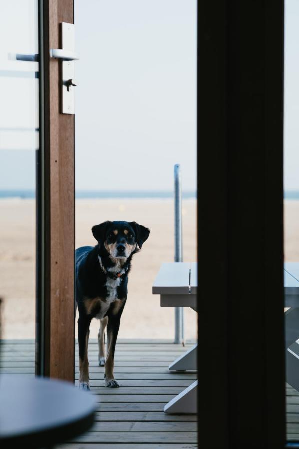 Breezand Beachhouses Vrouwenpolder Bagian luar foto